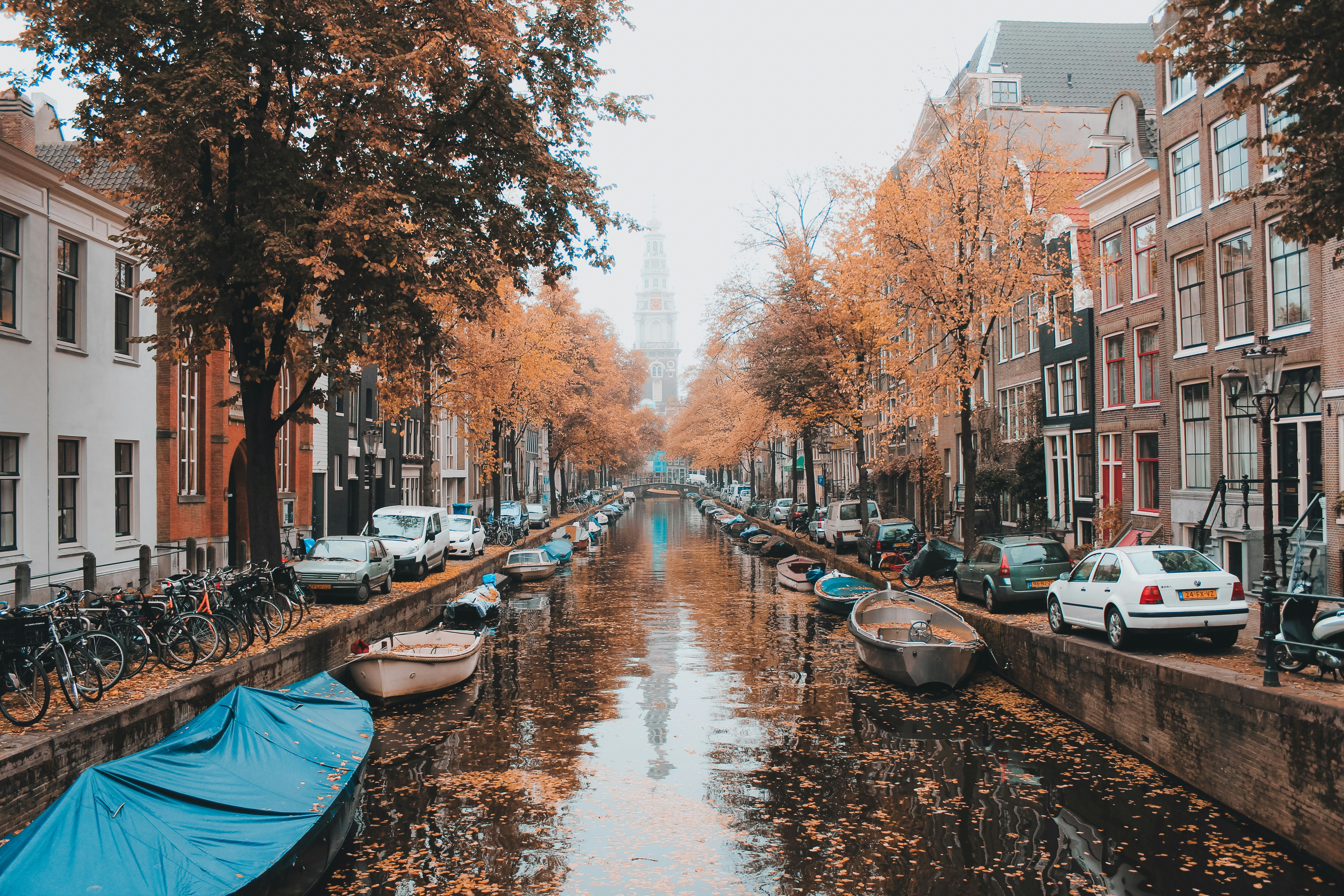 October Newsletter: What I’m Watching This Month